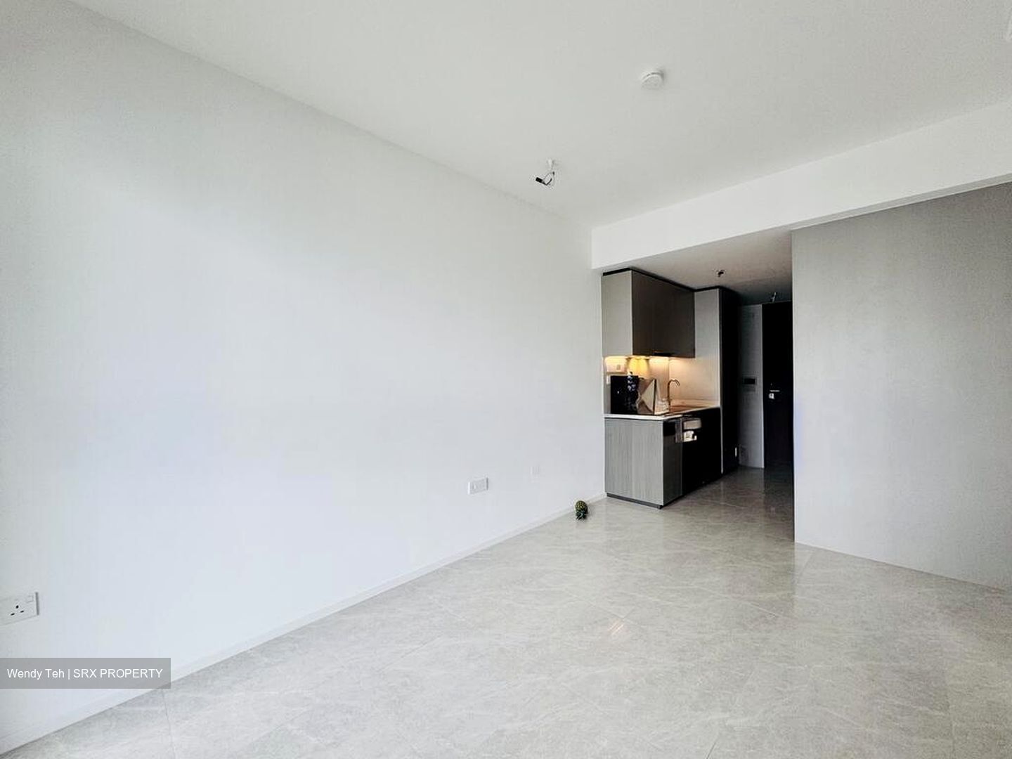 Piccadilly Grand (D8), Apartment #496703261